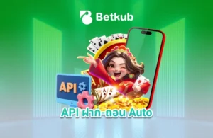 API ฝาก-ถอน Auto